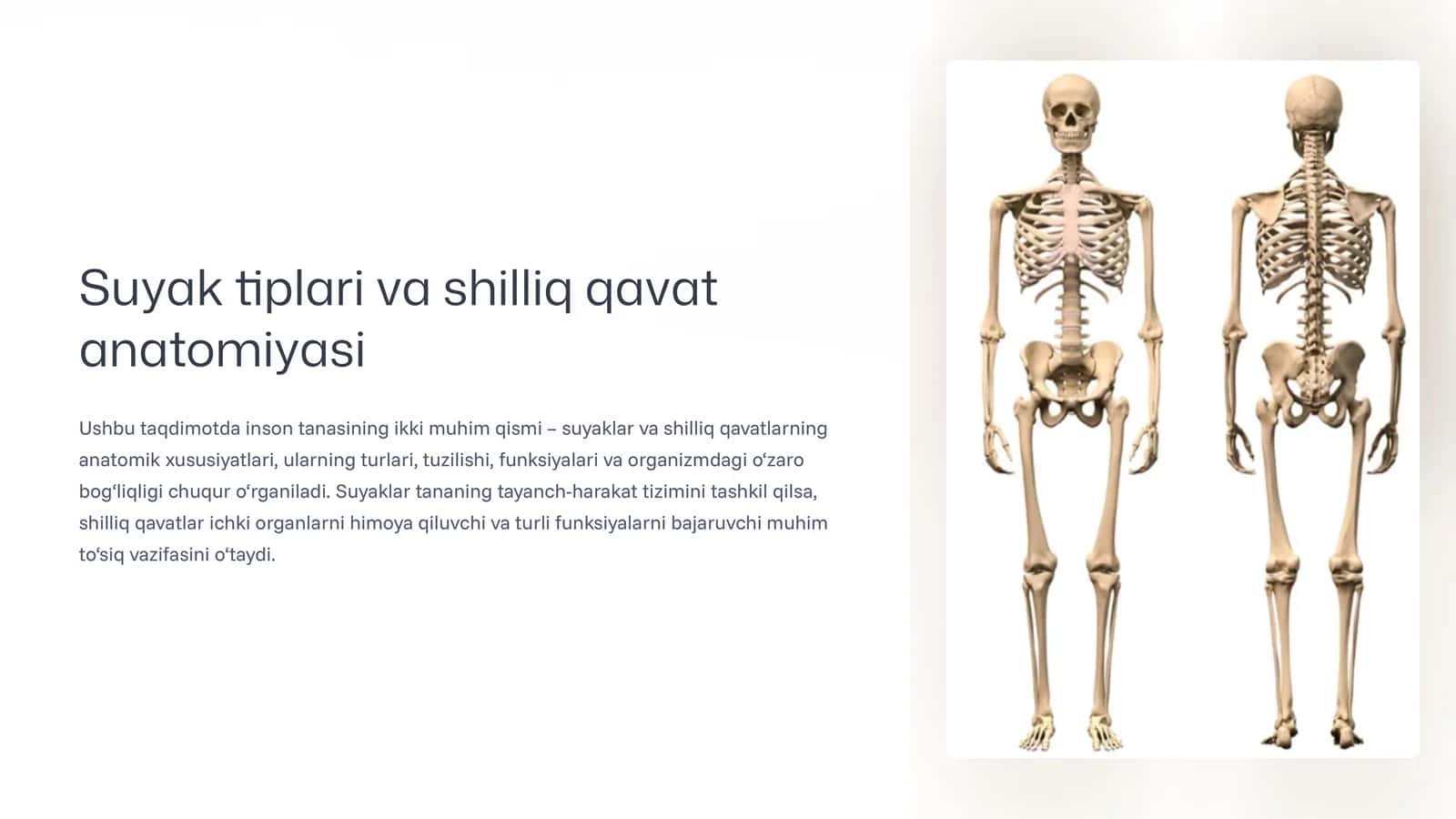 Suyak tiplari va shilliq qavat anatomiyasi 1