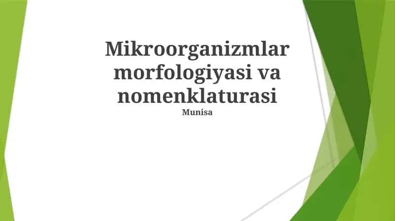 Mikroorganizmlar morfologiyasi va nomenklaturasi 1