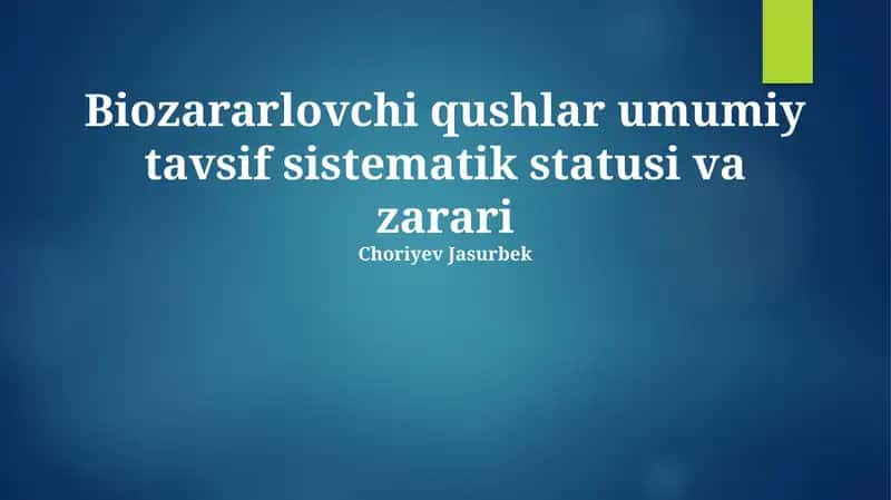 Zararli Qushlar 1