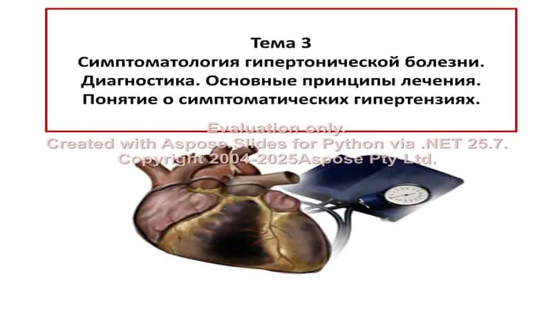 Артериальная гипертония: симптоматика, диагностика и лечение 1