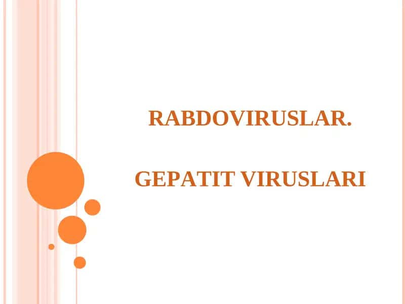 Rabdoviruslar 1