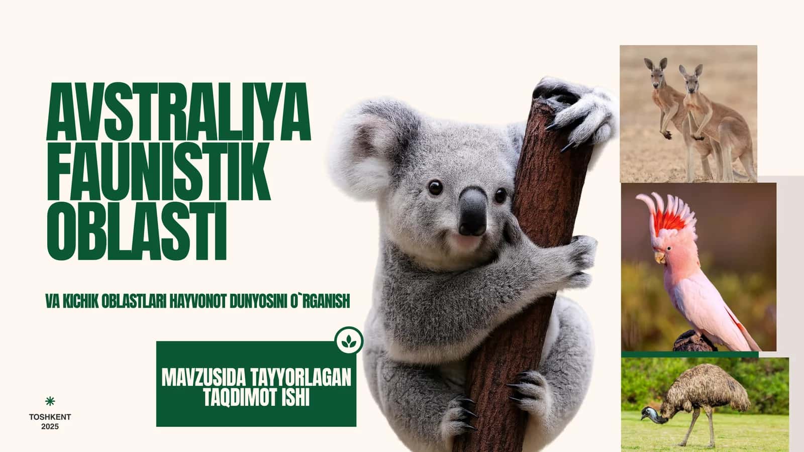 AVSTRALIYA FAUNISTIK OBLASTI 1