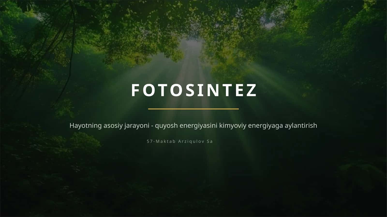 FOTOSINTEZ — TABIATNING ENG BUYUK “ZAVODI” 1