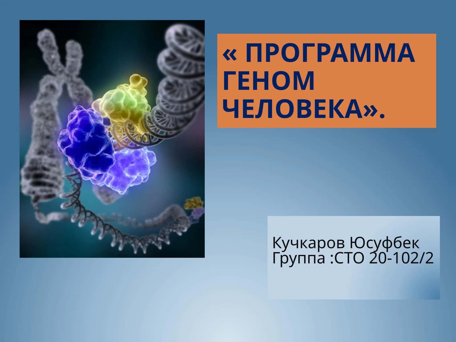 Программа Геном человека 1