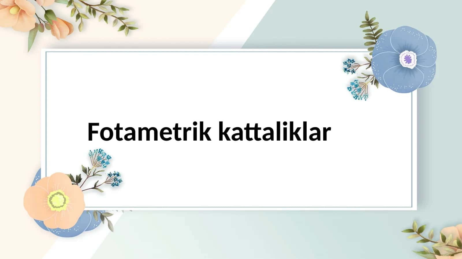 Fotametrikkattaliklar 1