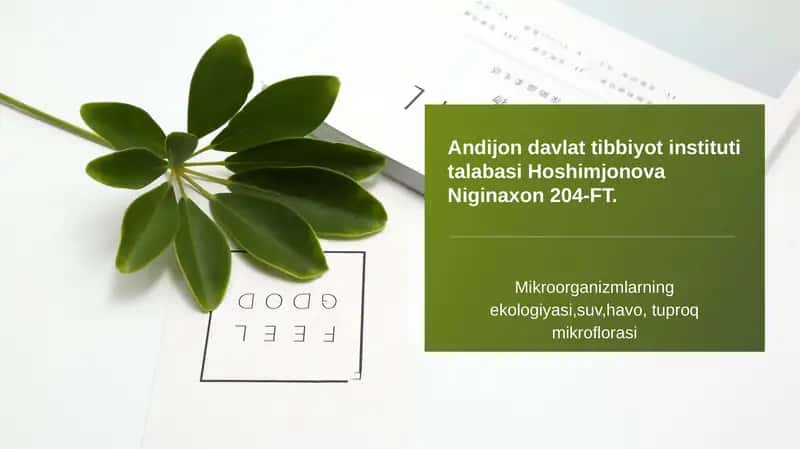 Mikroorganizmlarning ekologiyasi 1