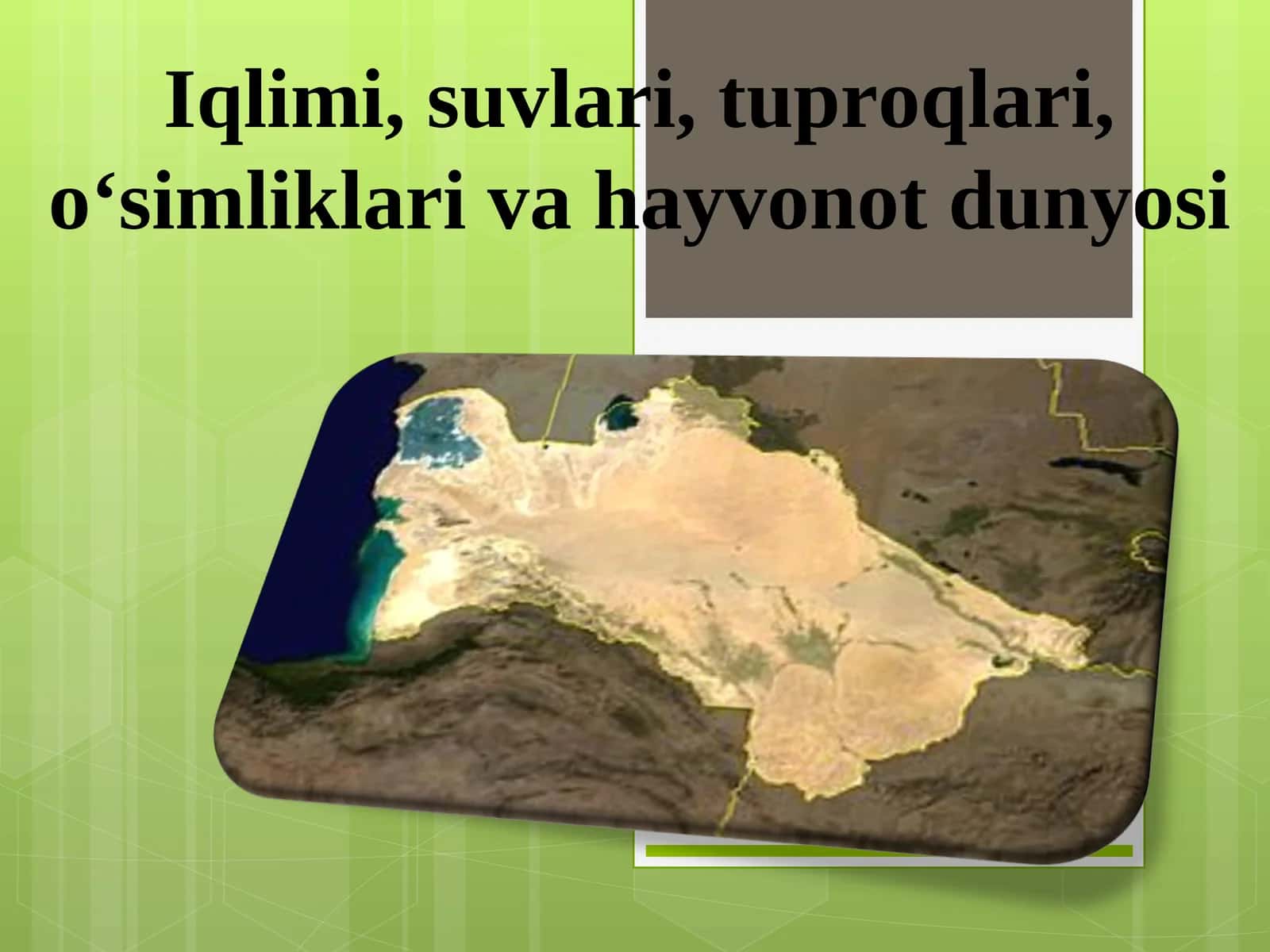 Iqlim va Hayvonot Dunyosi 1