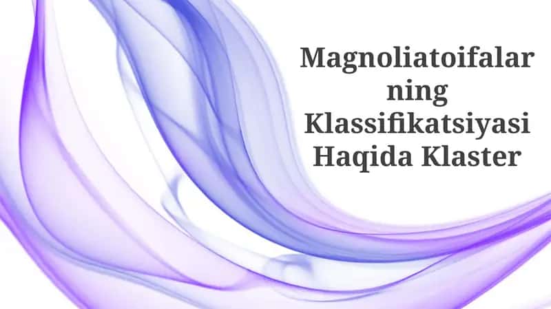 Magnoliatoifalarning Klassifikatsiyasi Haqida Klaster 1