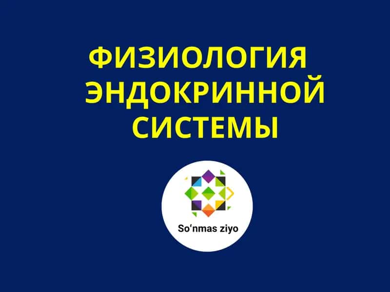 ФИЗИОЛОГИЯ ЭНДОКРИННОЙ СИСТЕМЫ 1