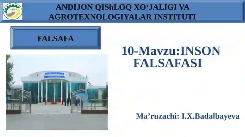 INSON FALSAFASI