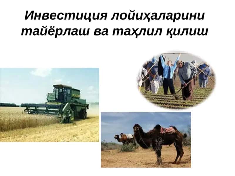 Инвестиция лойиҳаларини тайёрлаш ва таҳлил қилиш 1