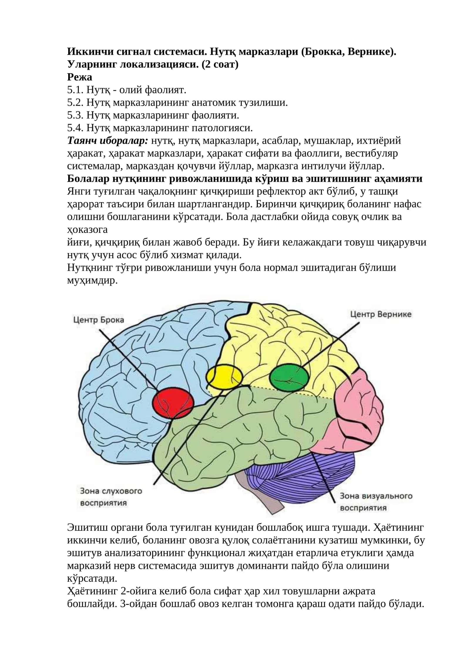 Иккинчи сигнал системаси. Нутқ марказлари (Брокка, Вернике). Уларнинг локализацияси 1