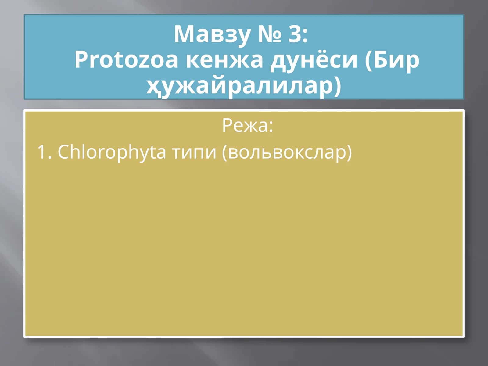 Protozoa кенжа дунёси (Бир ҳужайралилар) 1