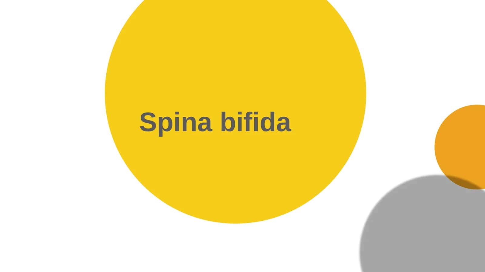 Spina bifida 1
