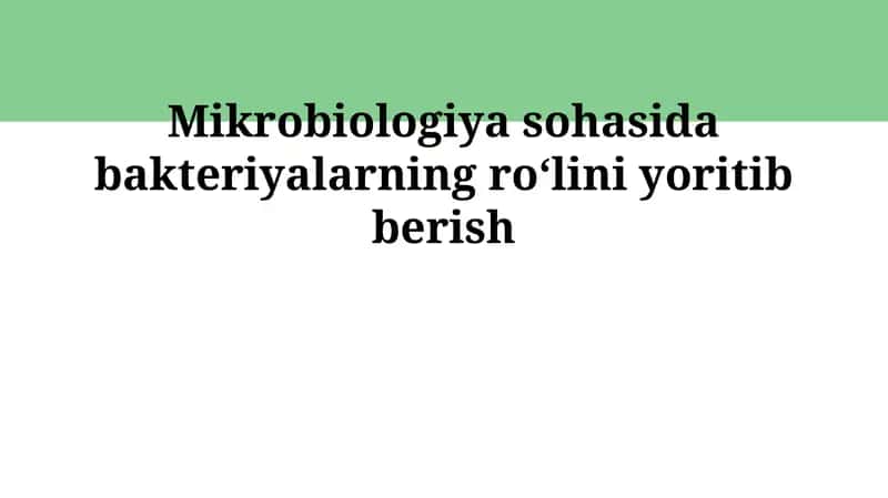 Bakteriyalar 1