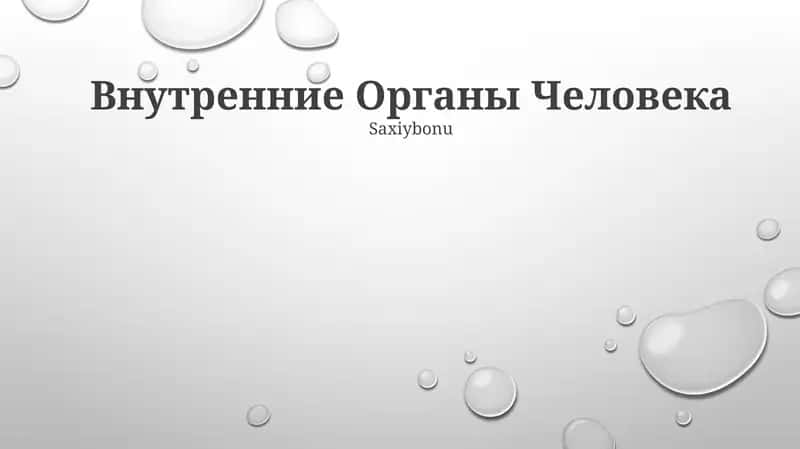 Внутренние Органы Человека 1