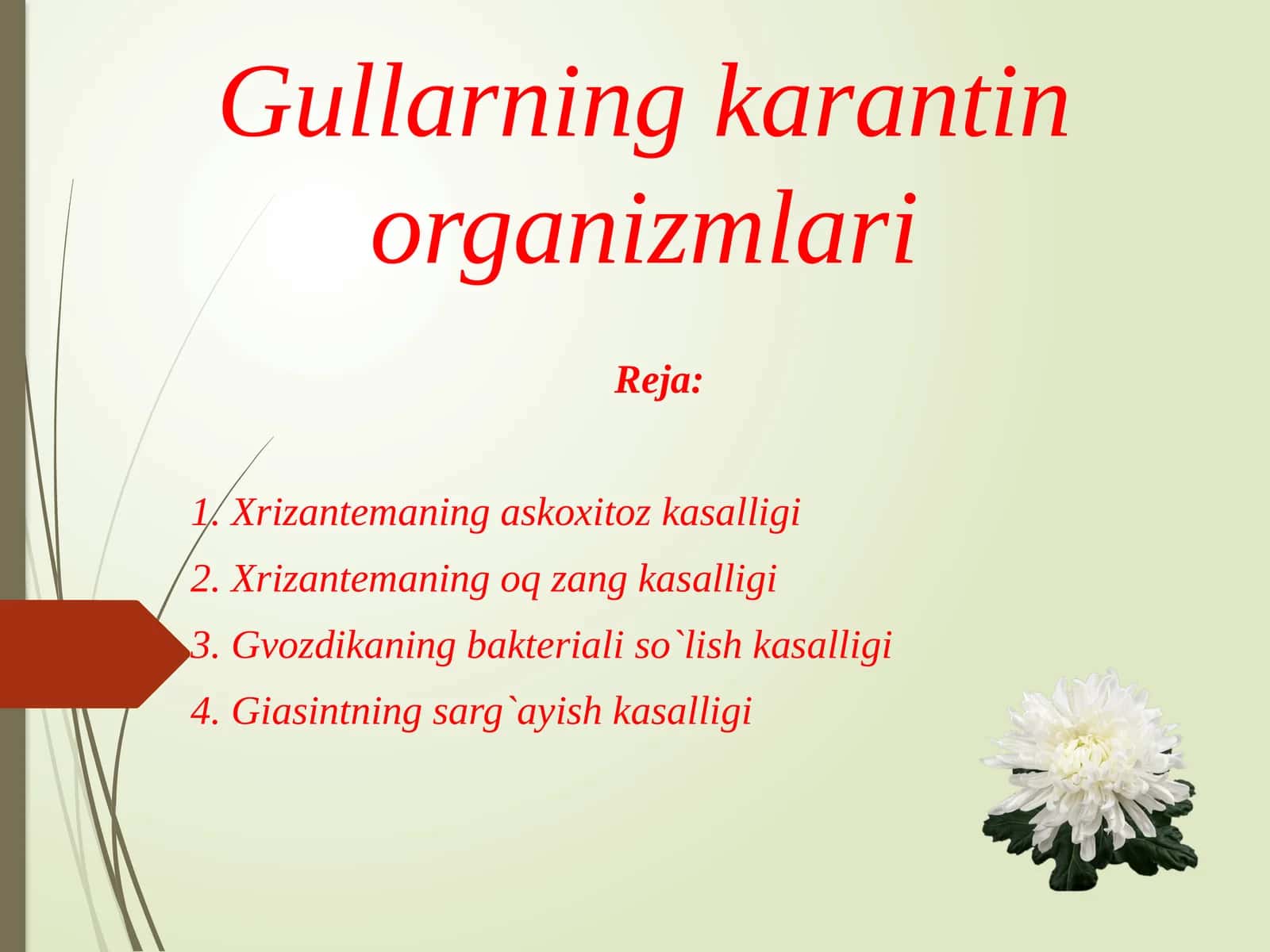 Gullarning karantin organizmlari 1