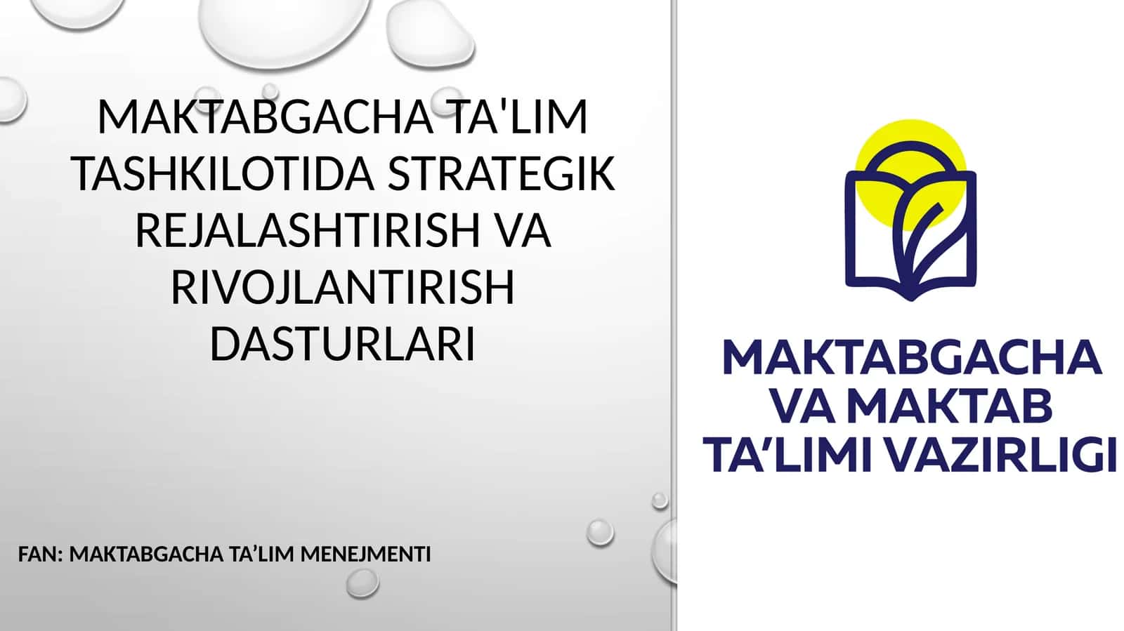 Maktabgacha ta'lim tashkilotida strategik rejalashtirish va rivojlantirish dasturlari 1
