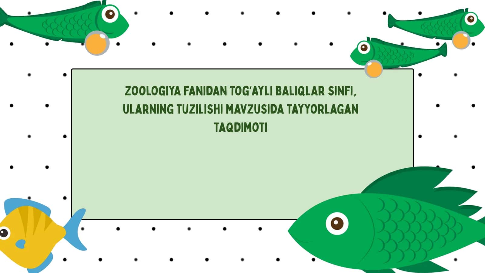 Togʻayli baliqlar sinfi taqdimoti 1