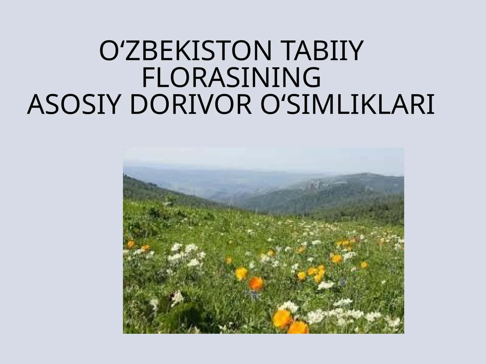 O‘ZBEKISTON TABIIY FLORASININGASOSIY DORIVOR O‘SIMLIKLARI 1