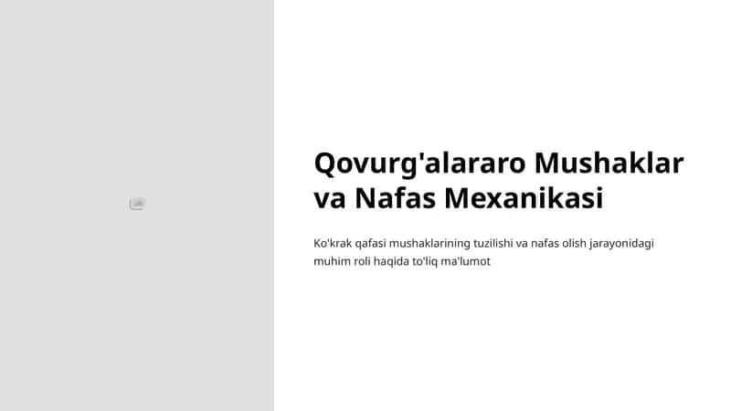 Qovurg'alararo Mushaklar va Nafas Mexanikasi 1