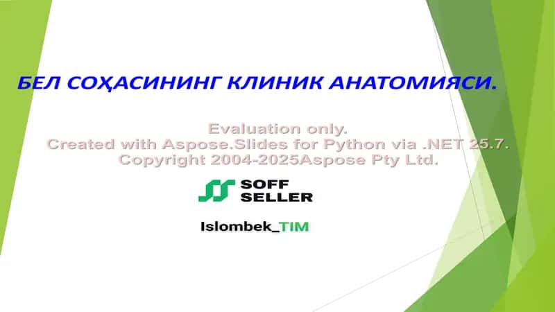 Bel sohasining klinik anatomiyasi 1