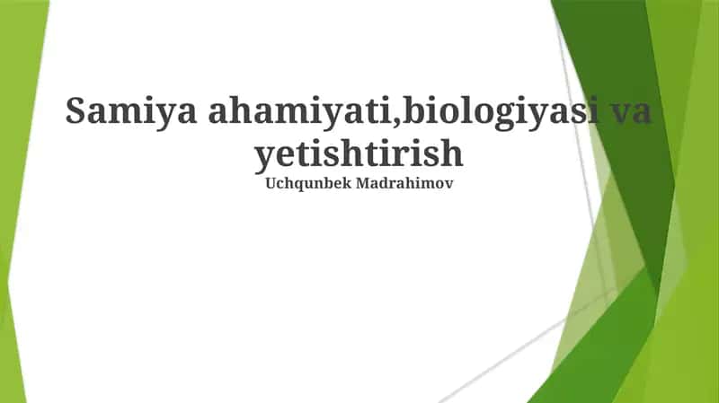 Samiya biologiyasi va yetishtirish 1