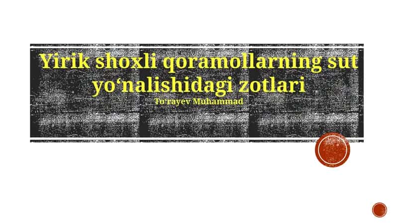 Yirik shoxli qoramollarning sut yoʻnalishidagi zotlari 1
