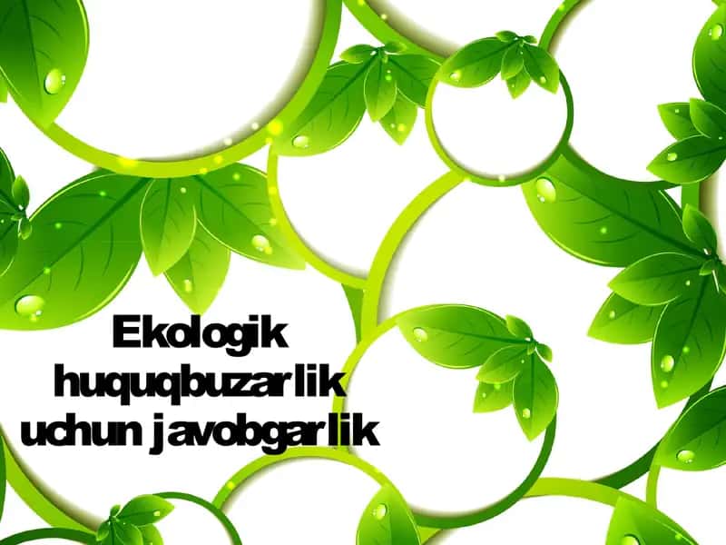 Ekologik huquqbuzarlik uchun javobgarlik 1