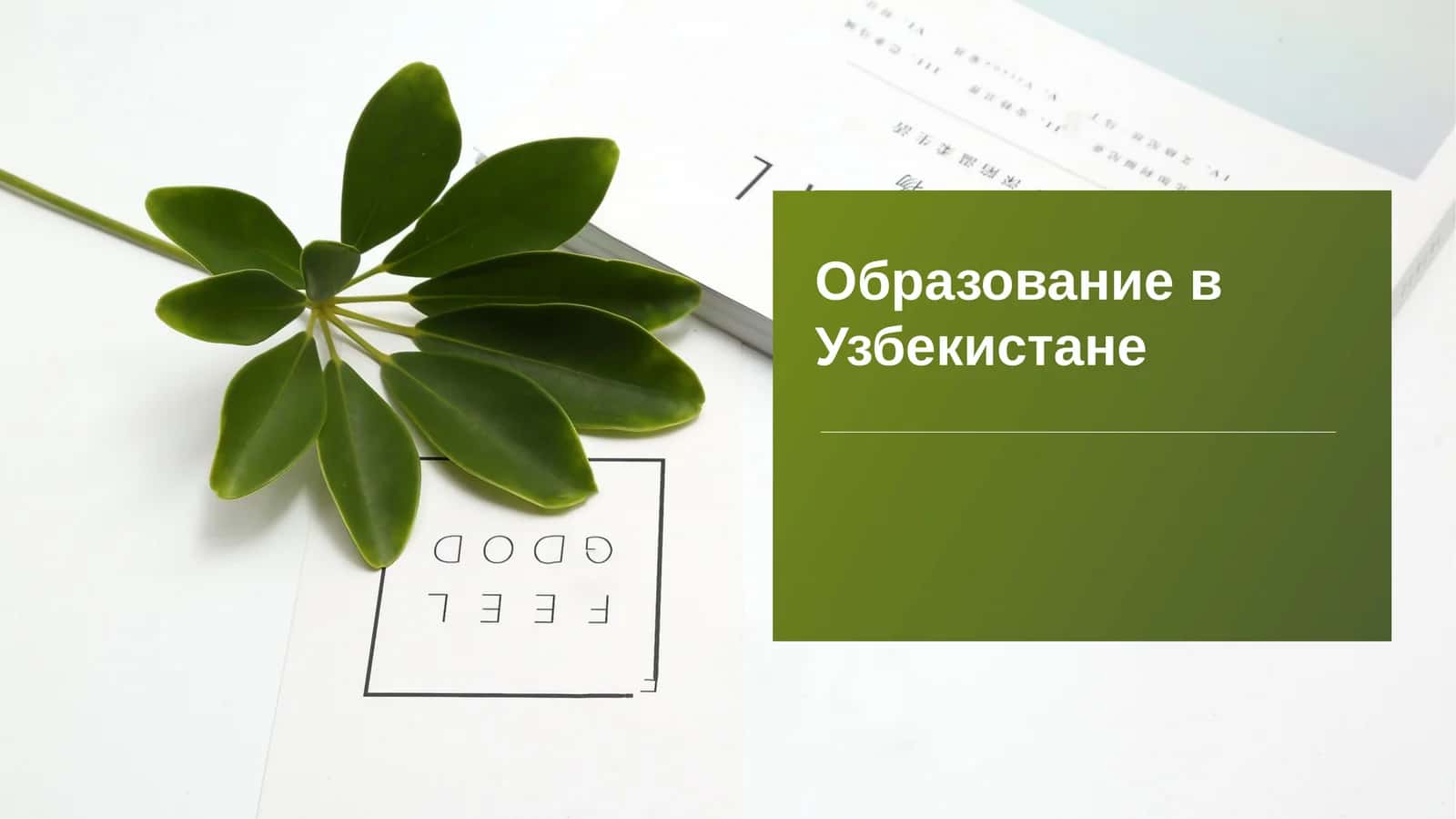 Образование в Узбекистане 1
