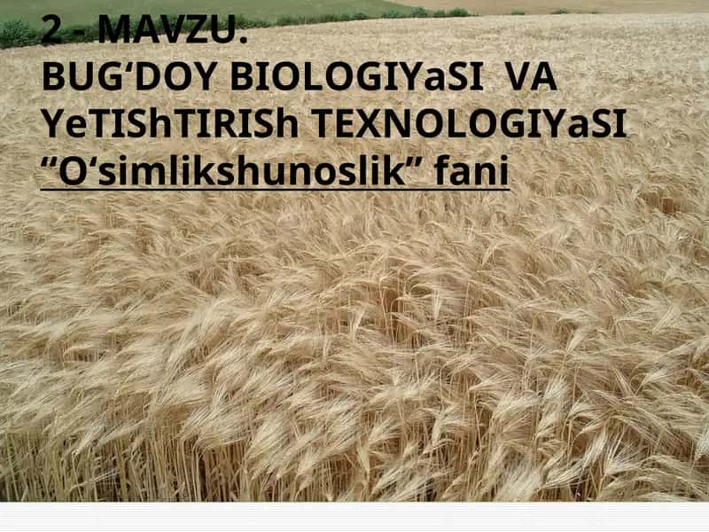 BUG‘DOY BIOLOGIYaSI VA YeTIShTIRISh TEXNOLOGIYaSI 1