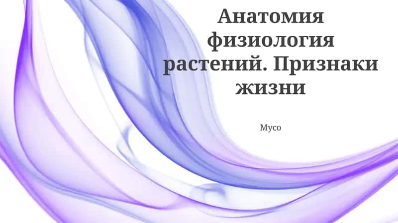 O'simlik anatomiya va fiziologiyasi 1
