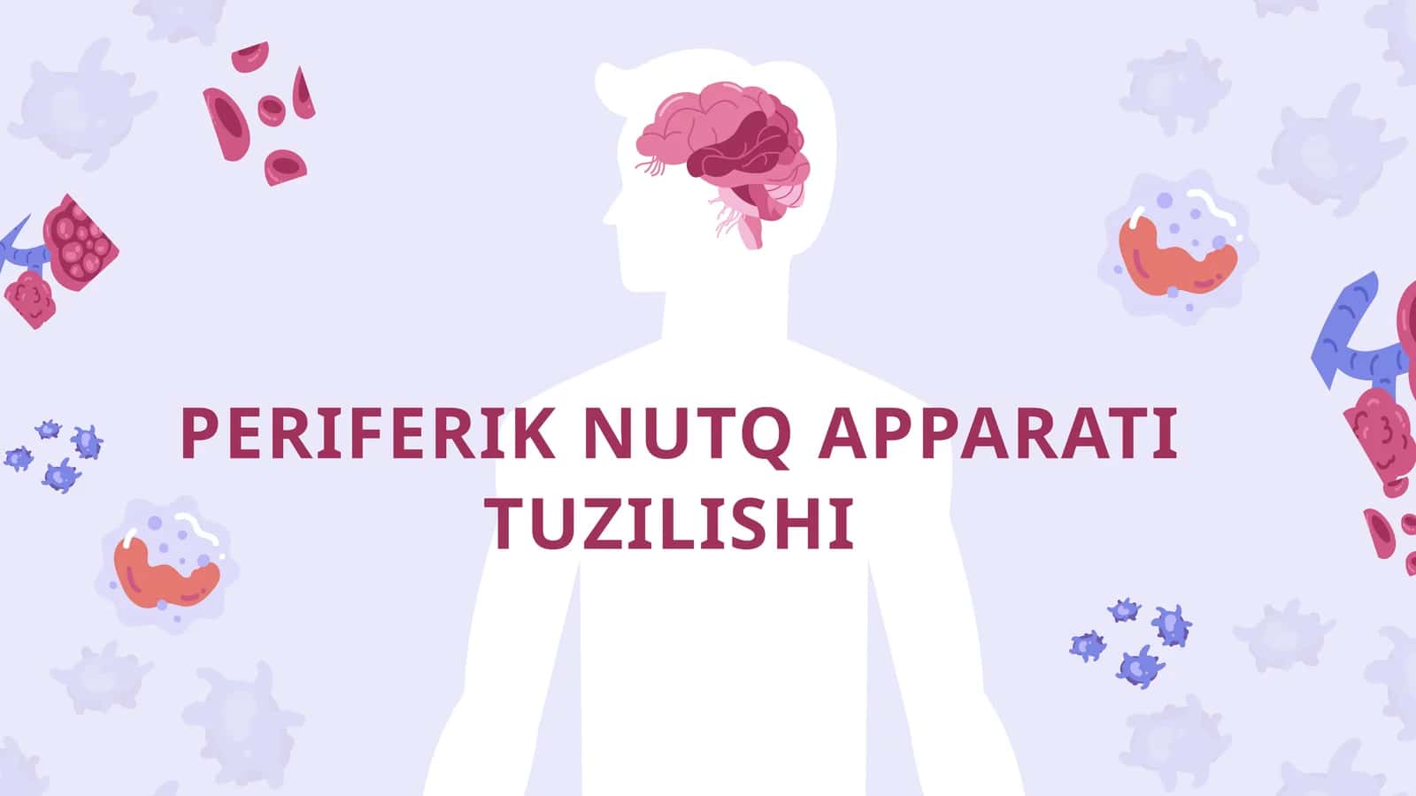 PERIFERIK NUTQ APPARATI TUZILISHI 1