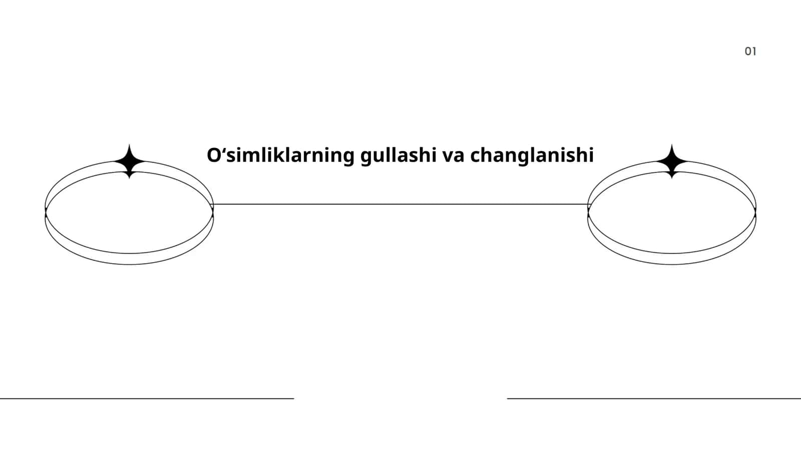 Oʻsimliklarning gullashi va changlanishi 1