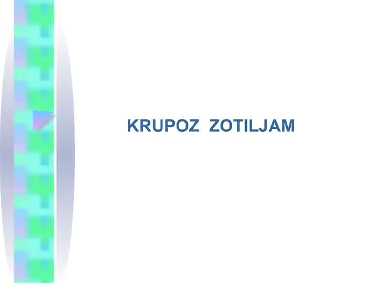 KRUPOZ ZOTILJAM 1