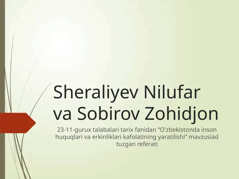 O'zbekistonda inson huquqlari va erkinliklari kafolatining yaratilishi 1