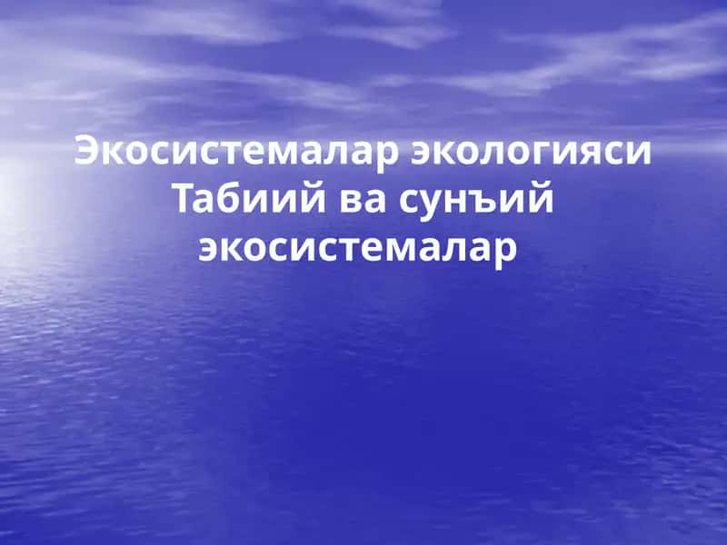 Экосистемалар эологияси 1