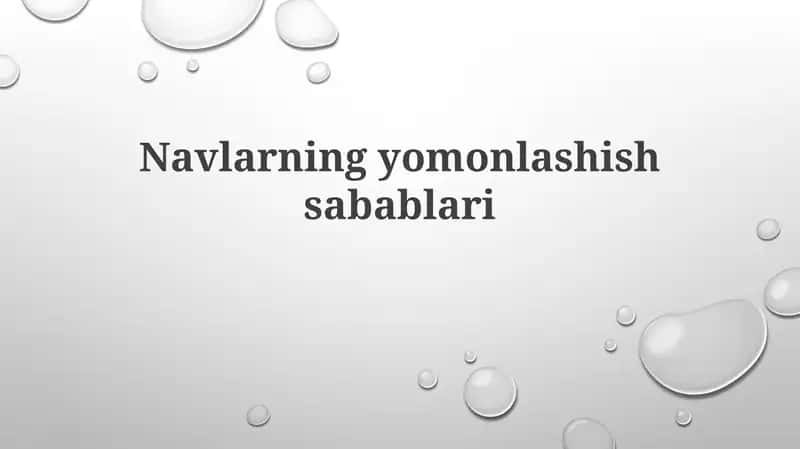 Navlarning yomonlashish sabablari 1
