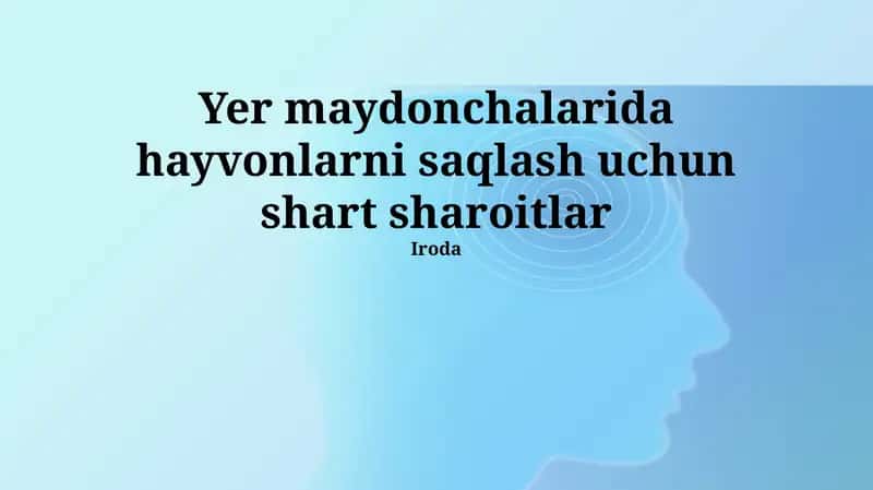 Yer maydonchalarida hayvonlarni saqlash uchun shart sharoitlar 1