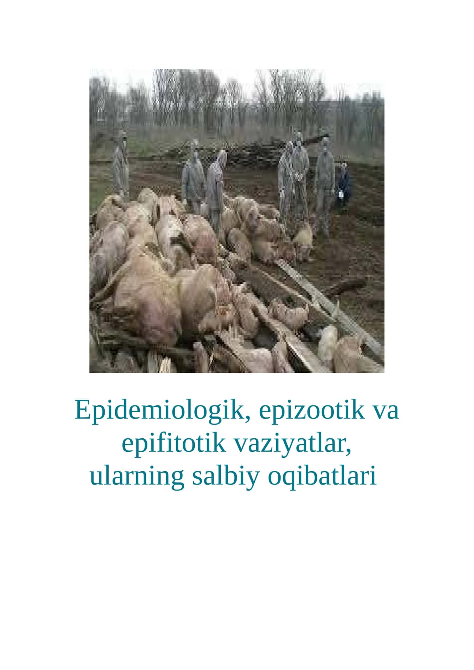 Epidemiologik, epizootik va epifitotik vaziyatlar, ularning salbiy oqibatlari 1
