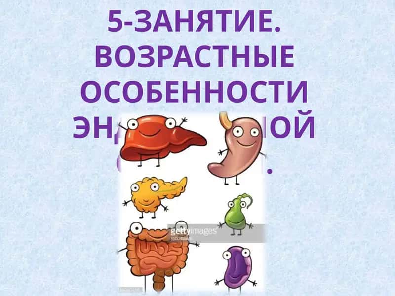ЗАНЯТИЕ.ВОЗРАСТНЫЕ ОСОБЕННОСТИ ЭНДОКРИННОЙ СИСТЕМЫ 1