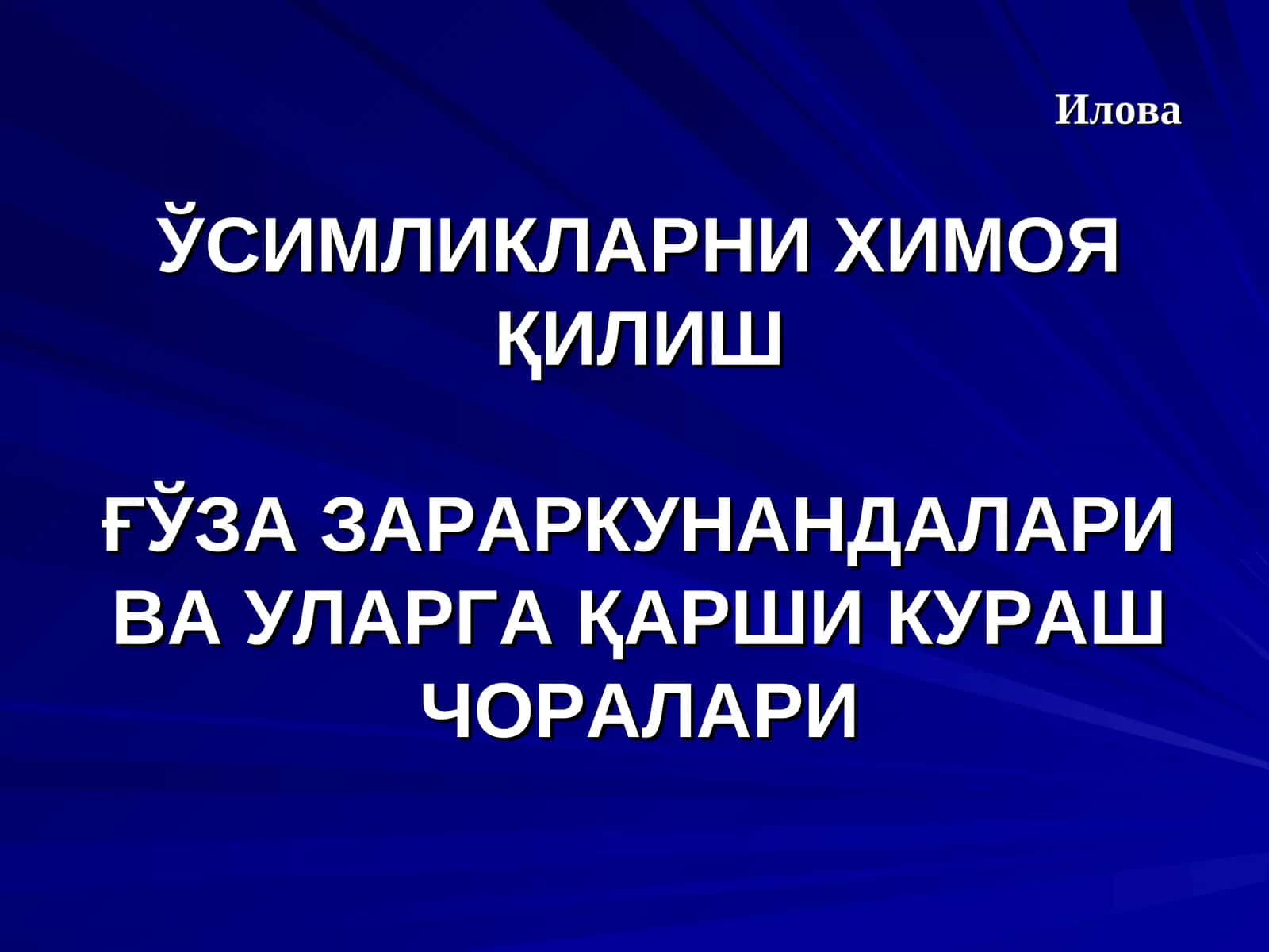 КУЗГИ ТУНЛАМ (AGROTIS SEGETUM SCHIFF) 1