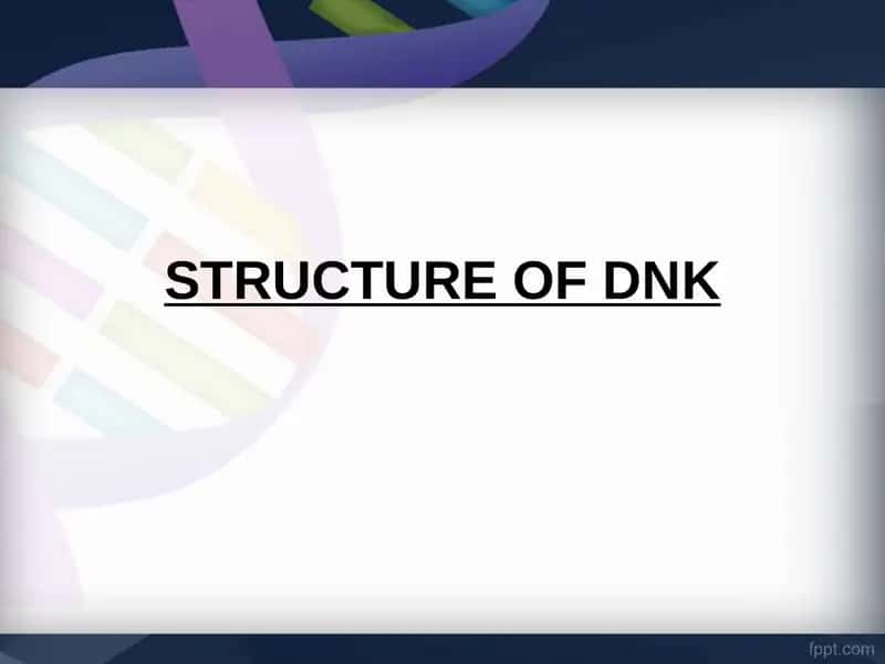 STRUCTURE OF DNK 1