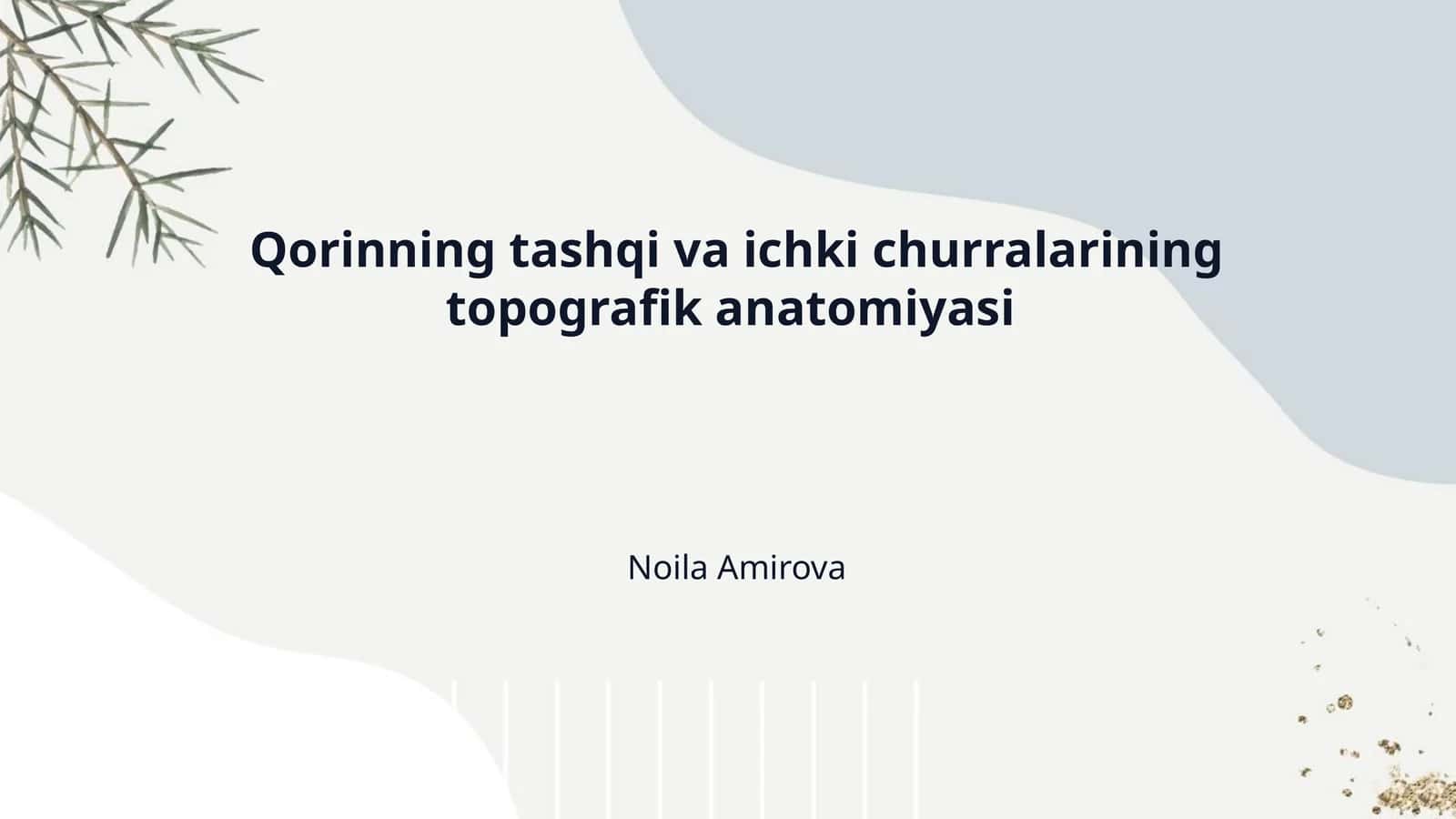 Qorinning tashqi va ichki churralarining topografik anatomiyasi 1