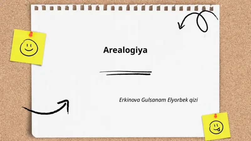 Arealogiya 1