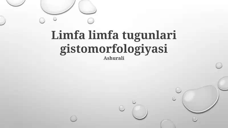 Limfa limfa tugunlari gistomorfologiyasi 1
