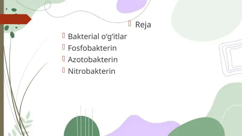 Bakteriologik o‘g‘itlar va ularning qo‘llanilishi 1