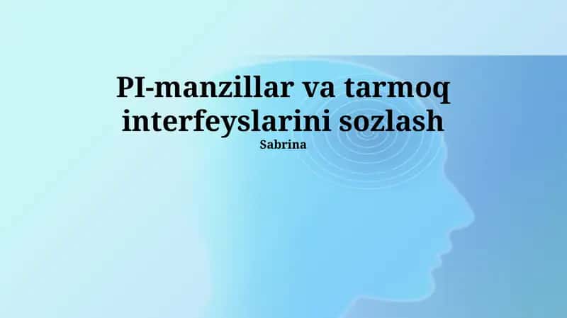 PI-manzillar va tarmoq interfeyslarini sozlash 1
