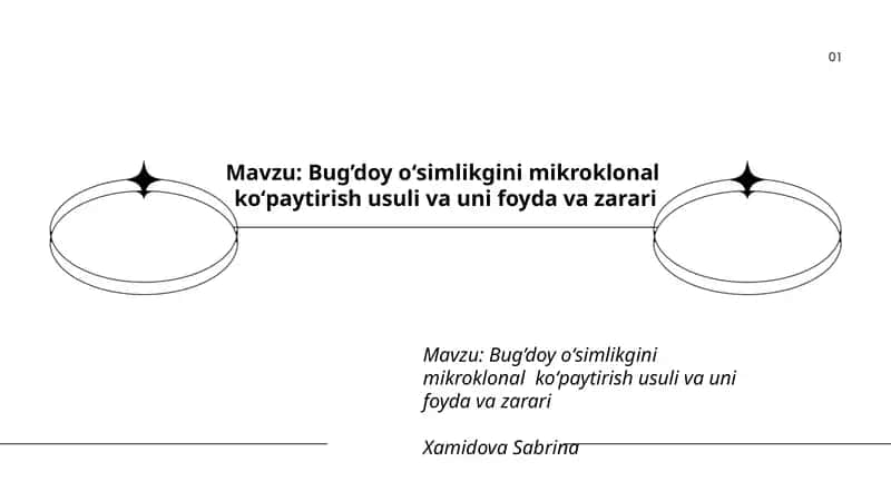 Bug’doy oʻsimlikgini mikroklonal koʻpaytirish usuli va uni foyda va zarari 1