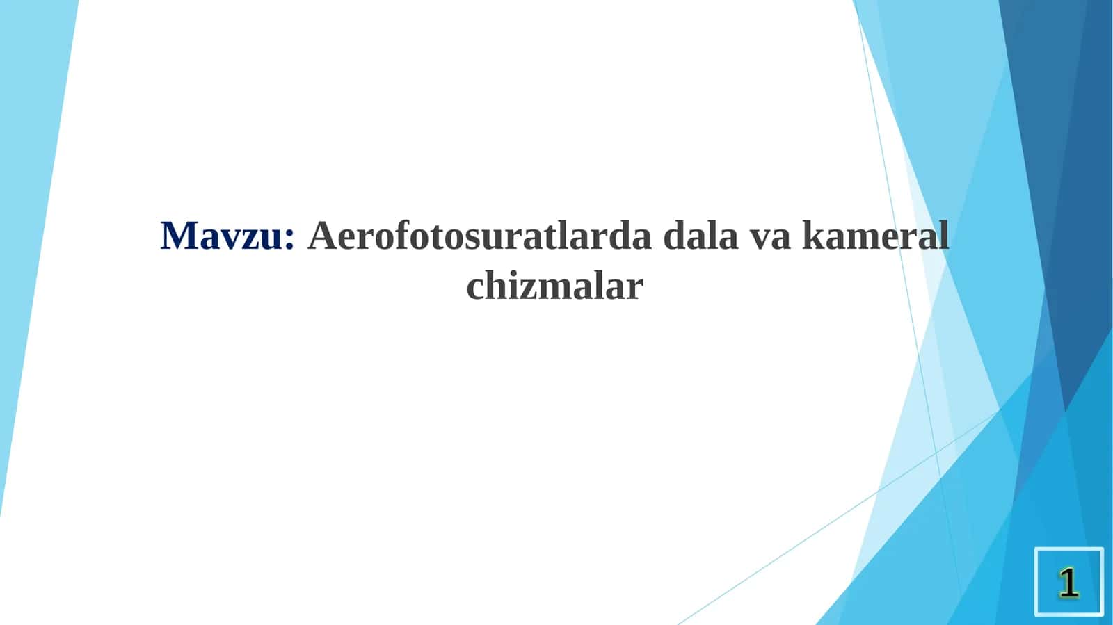 Aerofotosuratlarda dala va kameral chizmalar 1